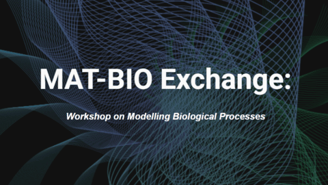 Warsztaty MAT-BIO exchange