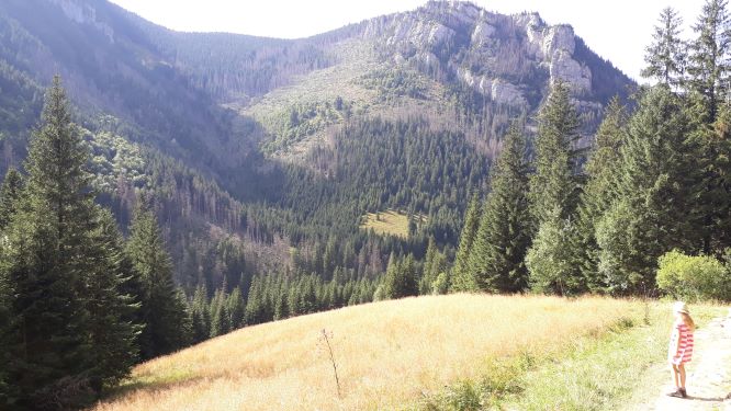 Widok z Polany Sto�y