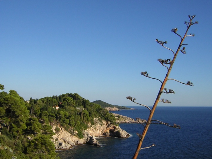 DSCN1188.JPG - Close to  Makarska 