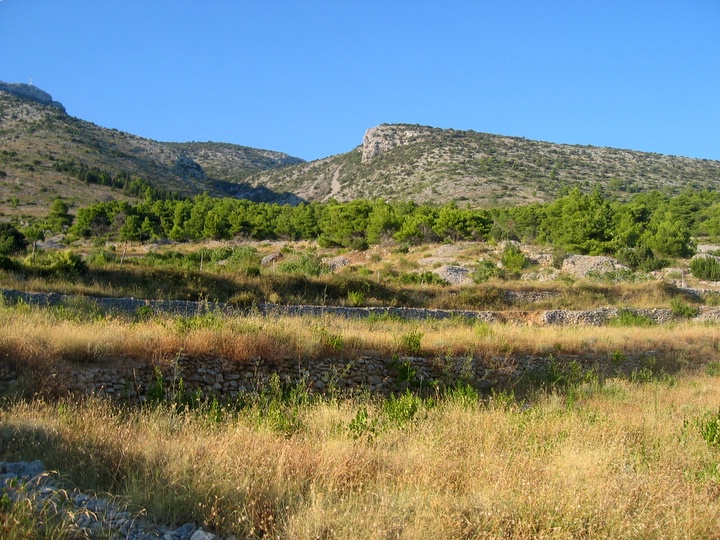 IMG_3545.JPG - On  Brac 