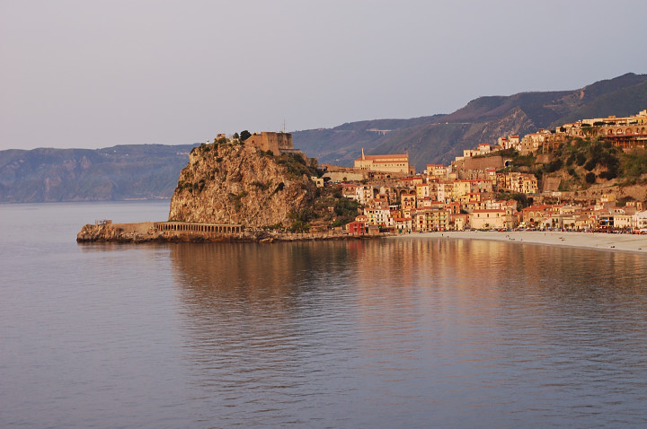 060417-106.jpg -  Scilla 