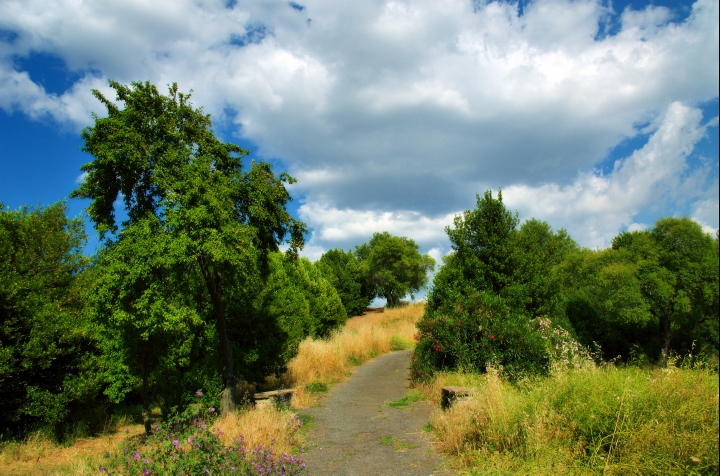 060612-092.jpg -  Villa Doria Pamphili 