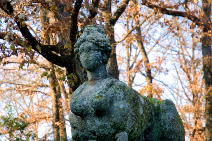 060107-003.jpg - (c)S.Dziembowski www.dziembowski.net