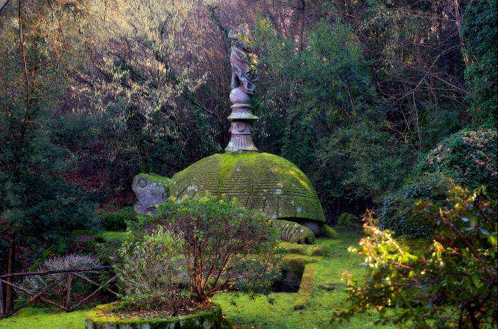 060107-008.jpg - The tortoise