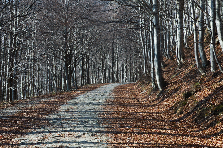 051119-089.jpg - The mountains of  Garfagnana 