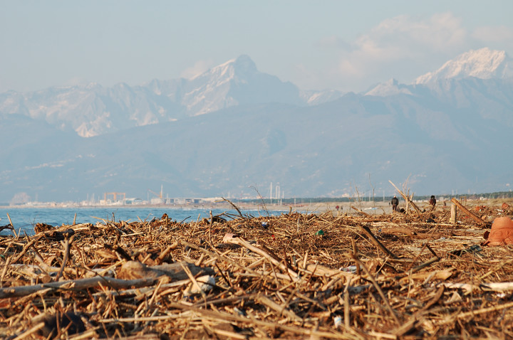 051211-035.jpg - A view from the beach of Vecchiano