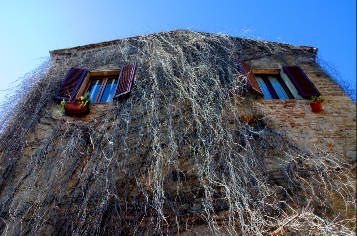 060114-043.jpg -  San_Gimignano 