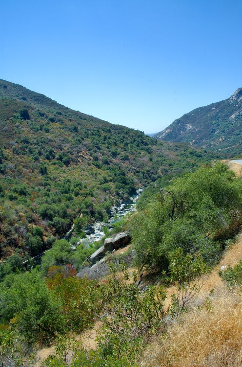 060831-245.jpg - (c)S.Dziembowski www.dziembowski.net