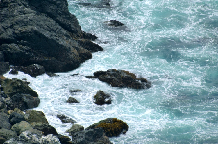 060831-304.jpg - (c)S.Dziembowski www.dziembowski.net