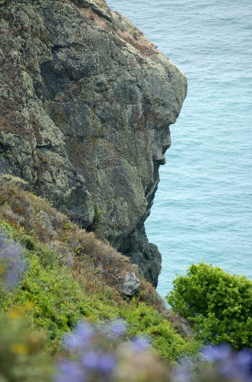 060831-305.jpg - (c)S.Dziembowski www.dziembowski.net